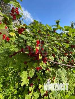 Дом 30м&sup2;, 1-этажный, участок 8 сот.  