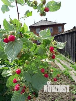 Дом 85м², 2-этажный, участок 2 сот.  