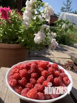 Дом 69м², 2-этажный, участок 8 сот.  