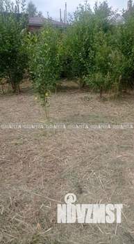 Дом 50м&sup2;, 2-этажный, участок 8 сот.  