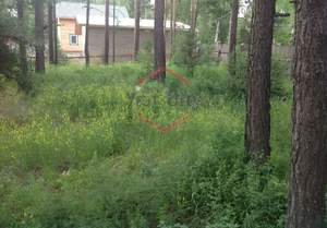 Дом 170м&sup2;, 2-этажный, участок 11 сот.  