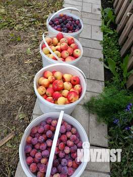 Дом 40м&sup2;, 1-этажный, участок 8 сот.  