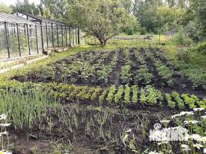 Дом 123м&sup2;, 3-этажный, участок 21 сот.  