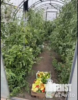 Дом 20м², 1-этажный, участок 10 сот.  