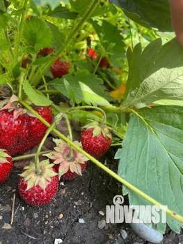 Дом 70м², 3-этажный, участок 5 сот.  