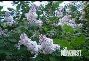 Дом 22м², 2-этажный, участок 5 сот.  