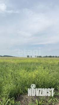 Дом 63м&sup2;, 1-этажный, участок 8 сот.  