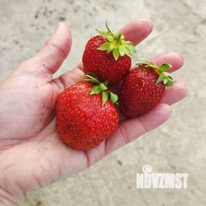 Дом 84м&sup2;, 1-этажный, участок 8 сот.  