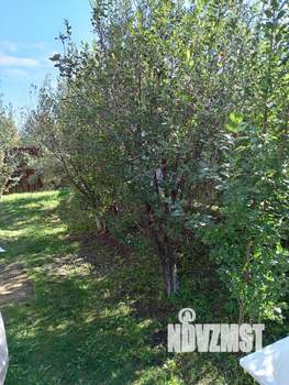 Дом 32м², 1-этажный, участок 10 сот.  