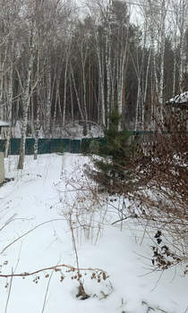 Дом 50м&sup2;, 2-этажный, участок 10 сот.  