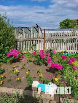 Дом 30м&sup2;, 1-этажный, участок 6 сот.  