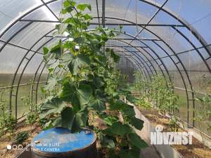 Дом 82м&sup2;, 1-этажный, участок 10 сот.  