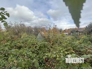 Дом 18м&sup2;, 1-этажный, участок 4 сот.  