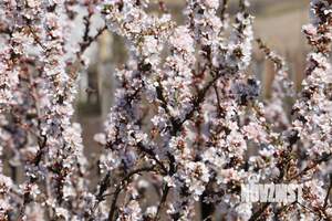 Дом 90м², 2-этажный, участок 7 сот.  