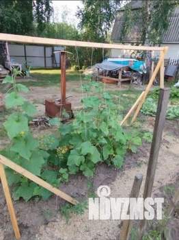 Дом 50м&sup2;, 2-этажный, участок 11 сот.  