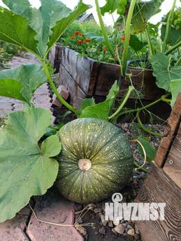 Дом 40м&sup2;, 1-этажный, участок 8 сот.  