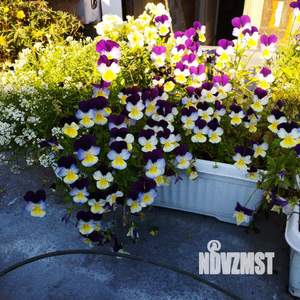 Дом 84м&sup2;, 1-этажный, участок 8 сот.  