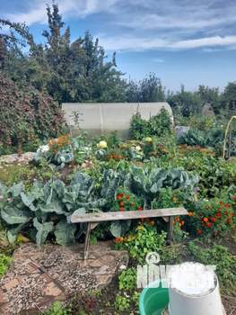 Дом 30м&sup2;, 2-этажный, участок 1 сот.  