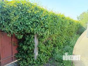 Дом 60м², 2-этажный, участок 8 сот.  