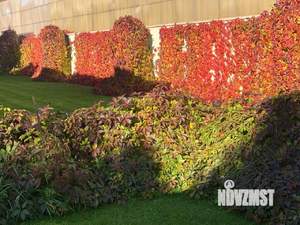 Коттедж 680м&sup2;, 2-этажный, участок 15 сот.  