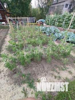 Дом 50м&sup2;, 2-этажный, участок 11 сот.  