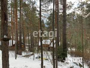 Дом 64м&sup2;, 2-этажный, участок 10 сот.  