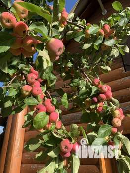 Дом 69м&sup2;, 2-этажный, участок 8 сот.  