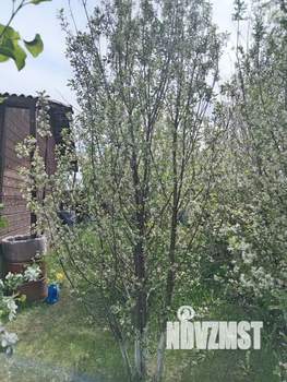 Дом 32м², 1-этажный, участок 10 сот.  