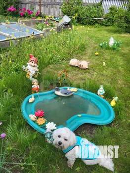 Дом 30м&sup2;, 1-этажный, участок 6 сот.  