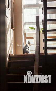 Коттедж 480м², 2-этажный, участок 10 сот.  