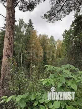 Дом 24м&sup2;, 1-этажный, участок 4 сот.  