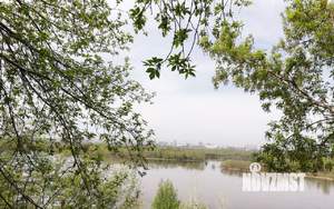 Коттедж 342м&sup2;, 2-этажный, участок 14 сот.  