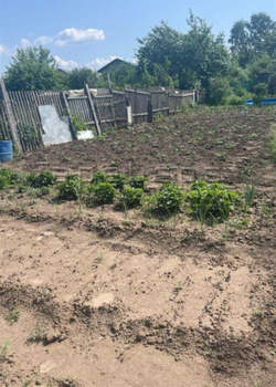 Дом 12м&sup2;, 1-этажный, участок 5 сот.  