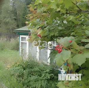 Дом 16м&sup2;, 1-этажный, участок 6 сот.  