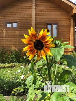 Дом 85м&sup2;, 2-этажный, участок 13 сот.  