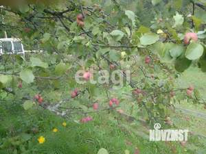 Дом 16м&sup2;, 1-этажный, участок 6 сот.  