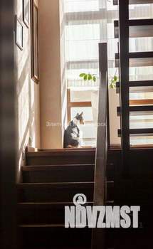 Коттедж 480м², 2-этажный, участок 10 сот.  
