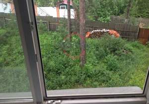 Дом 170м&sup2;, 2-этажный, участок 11 сот.  