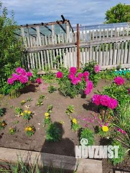 Дом 30м&sup2;, 1-этажный, участок 6 сот.  