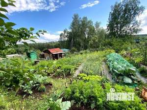 Дом 54м², 1-этажный, участок 10 сот.  