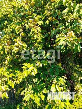 Дом 36м&sup2;, 2-этажный, участок 8 сот.  