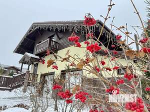 Коттедж 255м&sup2;, 2-этажный, участок 15 сот.  