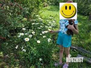 Дача 30м², 1-этажный, участок 8 сот.  