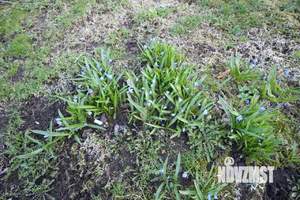 Дом 52м&sup2;, 2-этажный, участок 12 сот.  