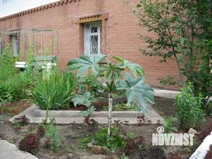 Дом 268м², 3-этажный, участок 8 сот.  