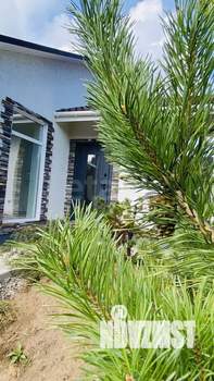 Дом 100м², 1-этажный, участок 12 сот.  