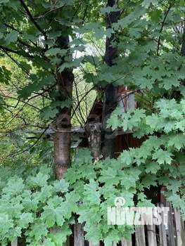 Дом 24м&sup2;, 1-этажный, участок 4 сот.  