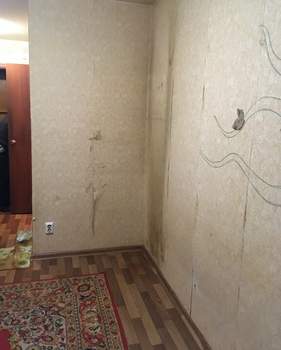 Студия квартира, на длительный срок, 14м2, 5/5 этаж