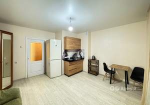 Студия квартира, на длительный срок, 28м2, 13/14 этаж