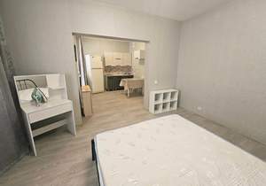 Студия квартира, на длительный срок, 30м2, 17/17 этаж